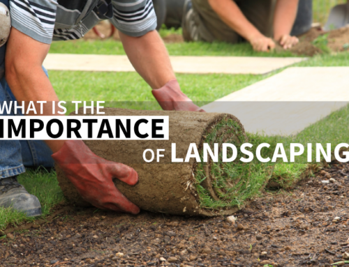 Importance of landscaping: Why Your Property Needs it?