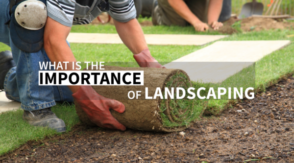 Importance Of Landscaping Why Your Property Needs It Importance Of Landscaping Why Your Property Needs It